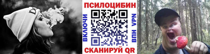 даркнет сайт  Тутаев  Псилоцибиновые грибы мухоморы 